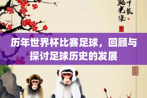 历年世界杯比赛足球，回顾与探讨足球历史的发展