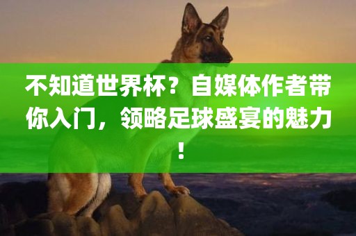 不知道世界杯？自媒体作者带你入门，领略足球盛宴的魅力！