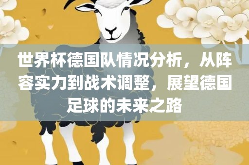 世界杯德国队情况分析，从阵容实力到战术调整，展望德国足球的未来之路