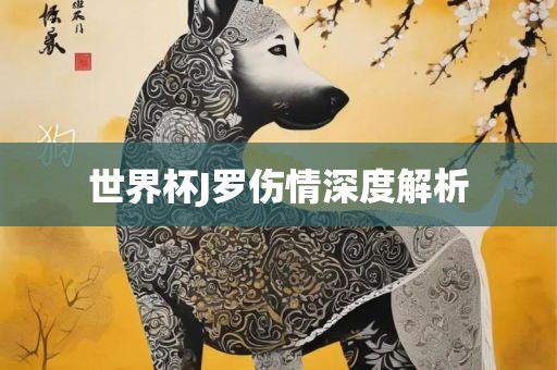 世界杯J罗伤情深度解析