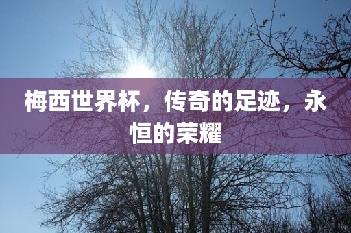 梅西世界杯，传奇的足迹，永恒的荣耀