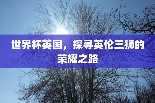 世界杯英国，探寻英伦三狮的荣耀之路