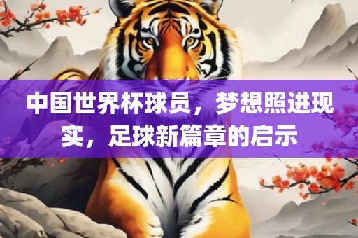 中国世界杯球员，梦想照进现实，足球新篇章的启示