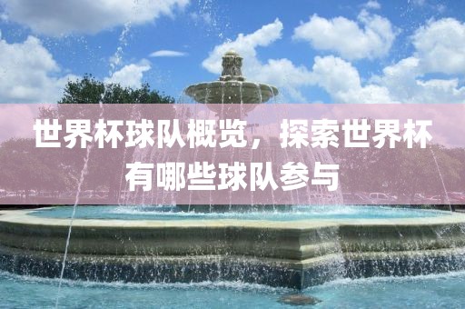 世界杯球队概览，探索世界杯有哪些球队参与
