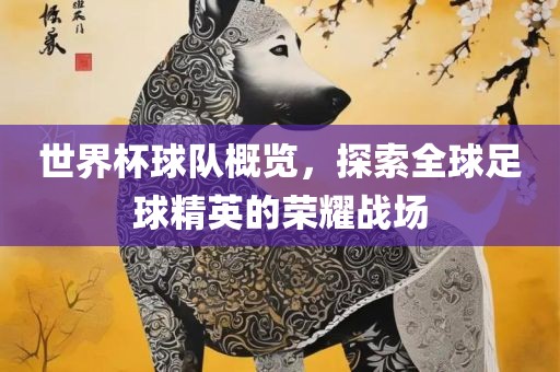 世界杯球队概览，探索全球足球精英的荣耀战场