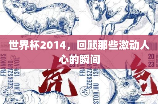 世界杯2014，回顾那些激动人心的瞬间