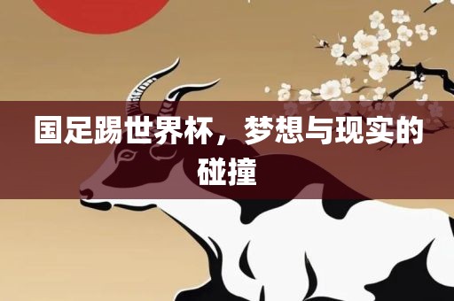 国足踢世界杯，梦想与现实的碰撞