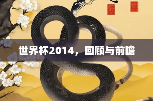 世界杯2014，回顾与前瞻