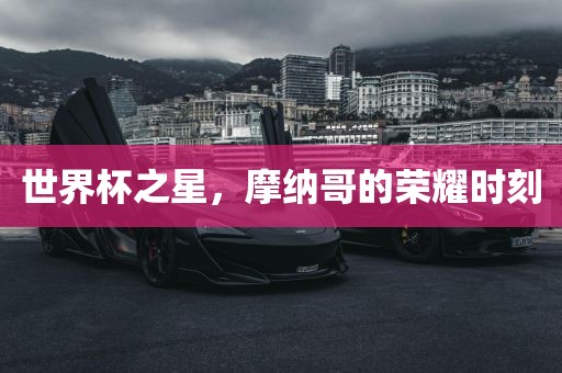 世界杯之星，摩纳哥的荣耀时刻