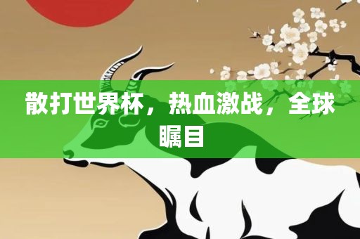 散打世界杯，热血激战，全球瞩目