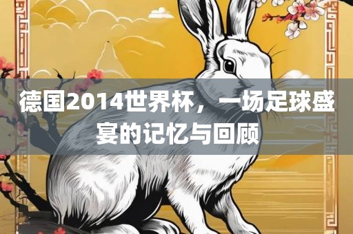 德国2014世界杯，一场足球盛宴的记忆与回顾