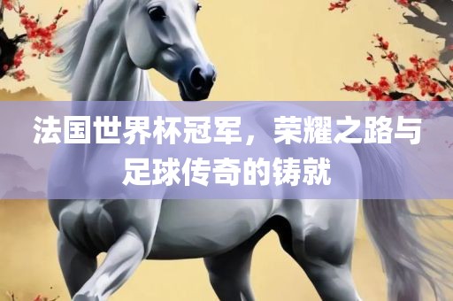 法国世界杯冠军，荣耀之路与足球传奇的铸就