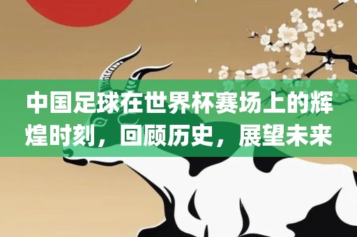 中国足球在世界杯赛场上的辉煌时刻，回顾历史，展望未来