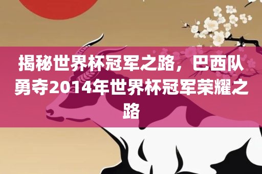 揭秘世界杯冠军之路，巴西队勇夺2014年世界杯冠军荣耀之路