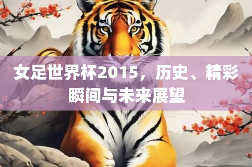 女足世界杯2015，历史、精彩瞬间与未来展望