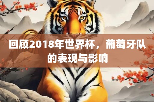 回顾2018年世界杯，葡萄牙队的表现与影响