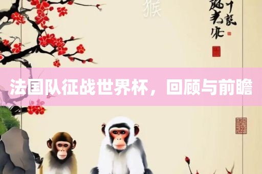 法国队征战世界杯，回顾与前瞻