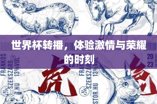 世界杯转播，体验激情与荣耀的时刻