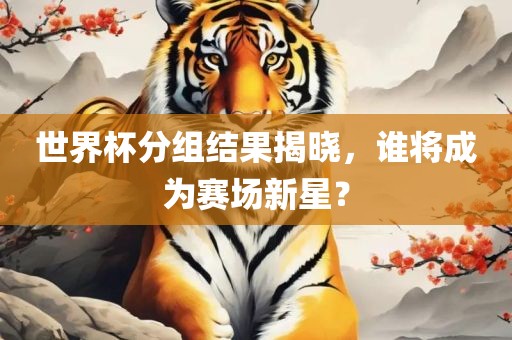 世界杯分组结果揭晓，谁将成为赛场新星？