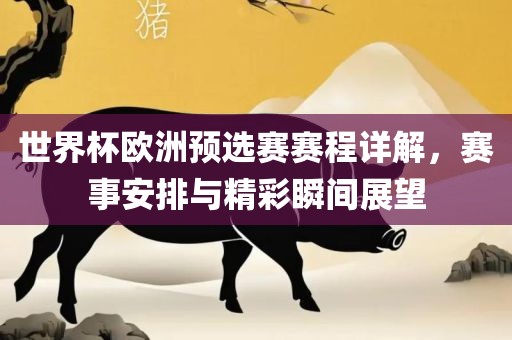 世界杯欧洲预选赛赛程详解，赛事安排与精彩瞬间展望