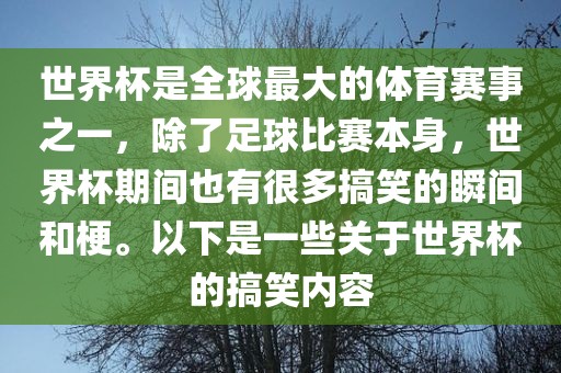 世界杯是全球最大的体育赛事之一，除了足球比赛本身，世界杯期间也有很多搞笑的瞬间和梗。以下是一些关于世界杯的搞笑内容