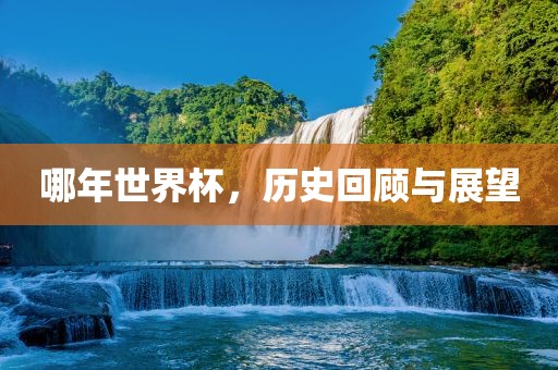 哪年世界杯，历史回顾与展望