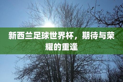 新西兰足球世界杯，期待与荣耀的重逢