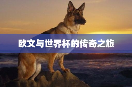 欧文与世界杯的传奇之旅