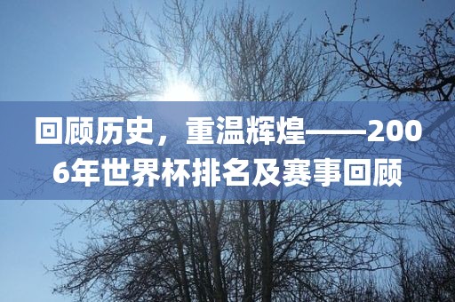 回顾历史，重温辉煌——2006年世界杯排名及赛事回顾