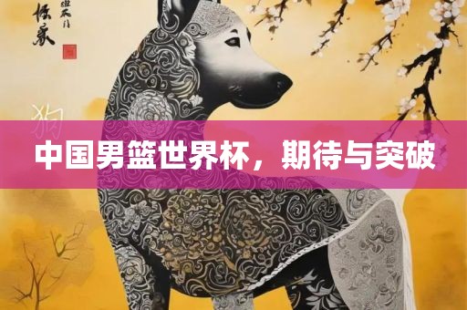 中国男篮世界杯，期待与突破