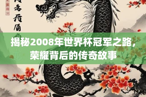揭秘2008年世界杯冠军之路，荣耀背后的传奇故事