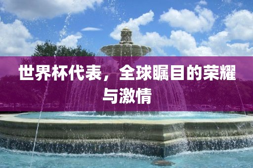 世界杯代表，全球瞩目的荣耀与激情