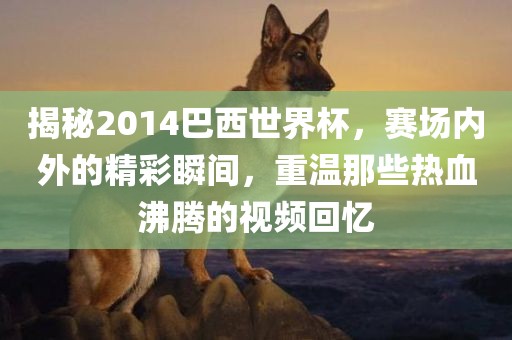 揭秘2014巴西世界杯，赛场内外的精彩瞬间，重温那些热血沸腾的视频回忆