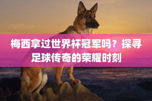 梅西拿过世界杯冠军吗？探寻足球传奇的荣耀时刻