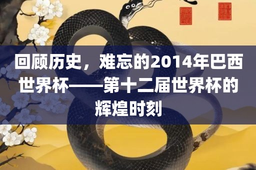 回顾历史，难忘的2014年巴西世界杯——第十二届世界杯的辉煌时刻