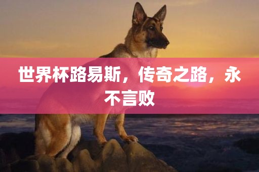 世界杯路易斯，传奇之路，永不言败