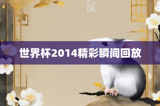 世界杯2014精彩瞬间回放