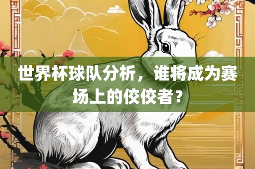 世界杯球队分析，谁将成为赛场上的佼佼者？