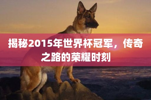 揭秘2015年世界杯冠军，传奇之路的荣耀时刻