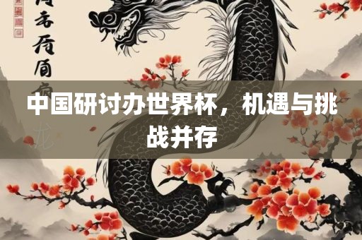 中国研讨办世界杯，机遇与挑战并存