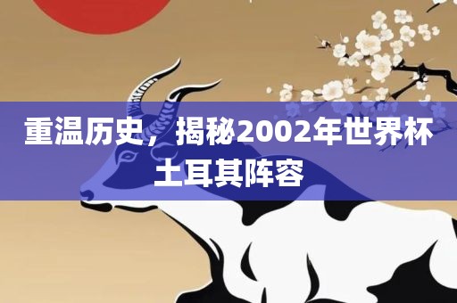 重温历史，揭秘2002年世界杯土耳其阵容