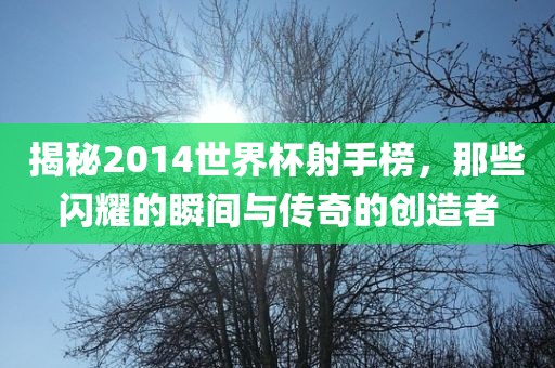 揭秘2014世界杯射手榜，那些闪耀的瞬间与传奇的创造者
