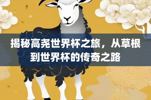 揭秘高尧世界杯之旅，从草根到世界杯的传奇之路