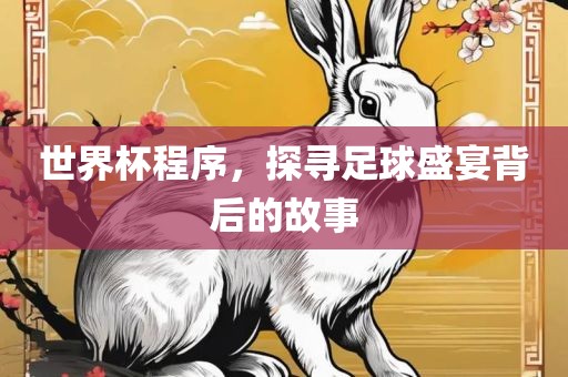 世界杯程序，探寻足球盛宴背后的故事