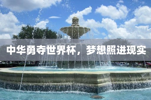 中华勇夺世界杯，梦想照进现实