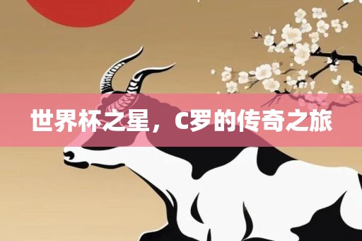 世界杯之星，C罗的传奇之旅