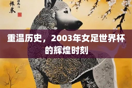 重温历史，2003年女足世界杯的辉煌时刻