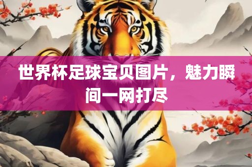 世界杯足球宝贝图片，魅力瞬间一网打尽