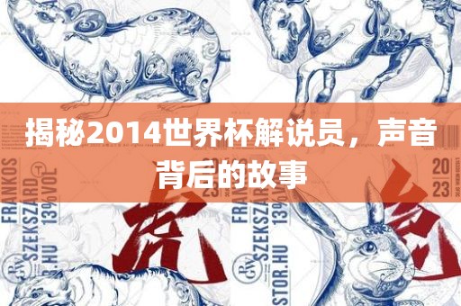 揭秘2014世界杯解说员，声音背后的故事