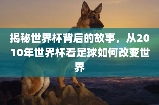 揭秘世界杯背后的故事，从2010年世界杯看足球如何改变世界